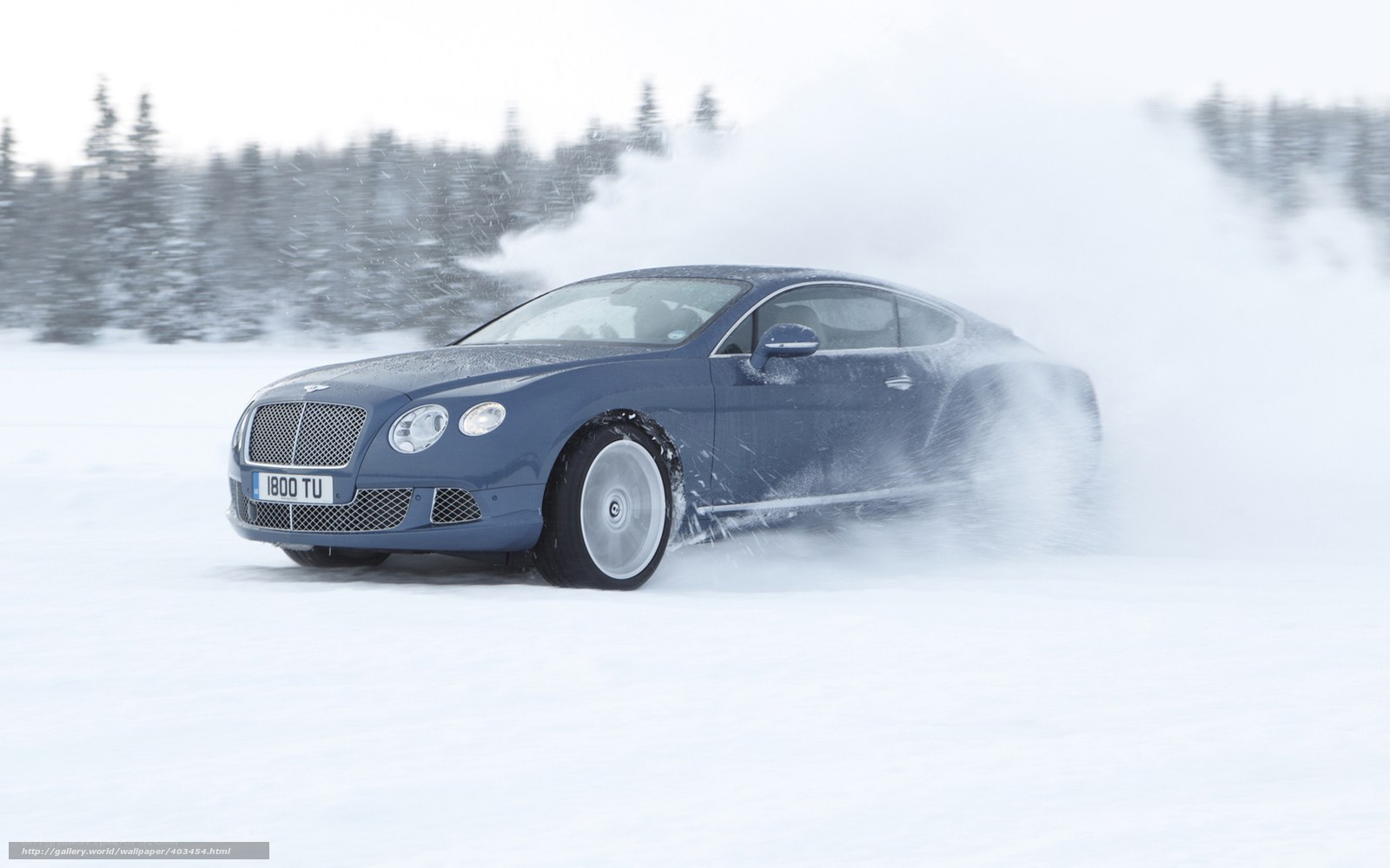 Bentley on snowy track