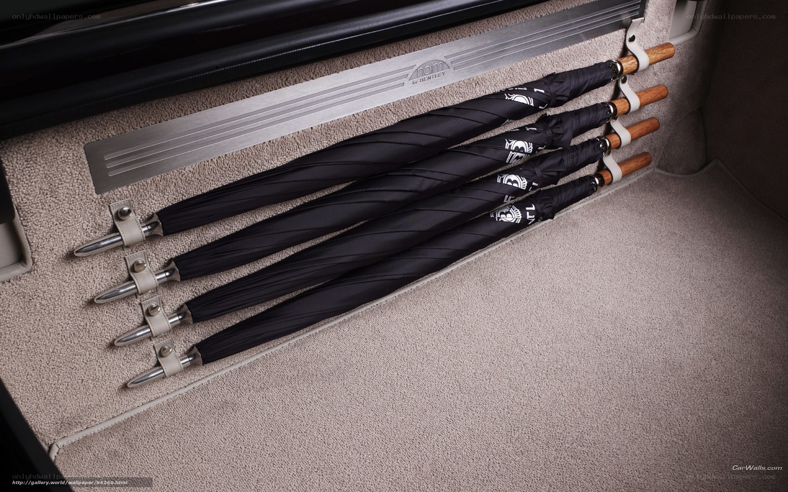 Bentley umbrella storage