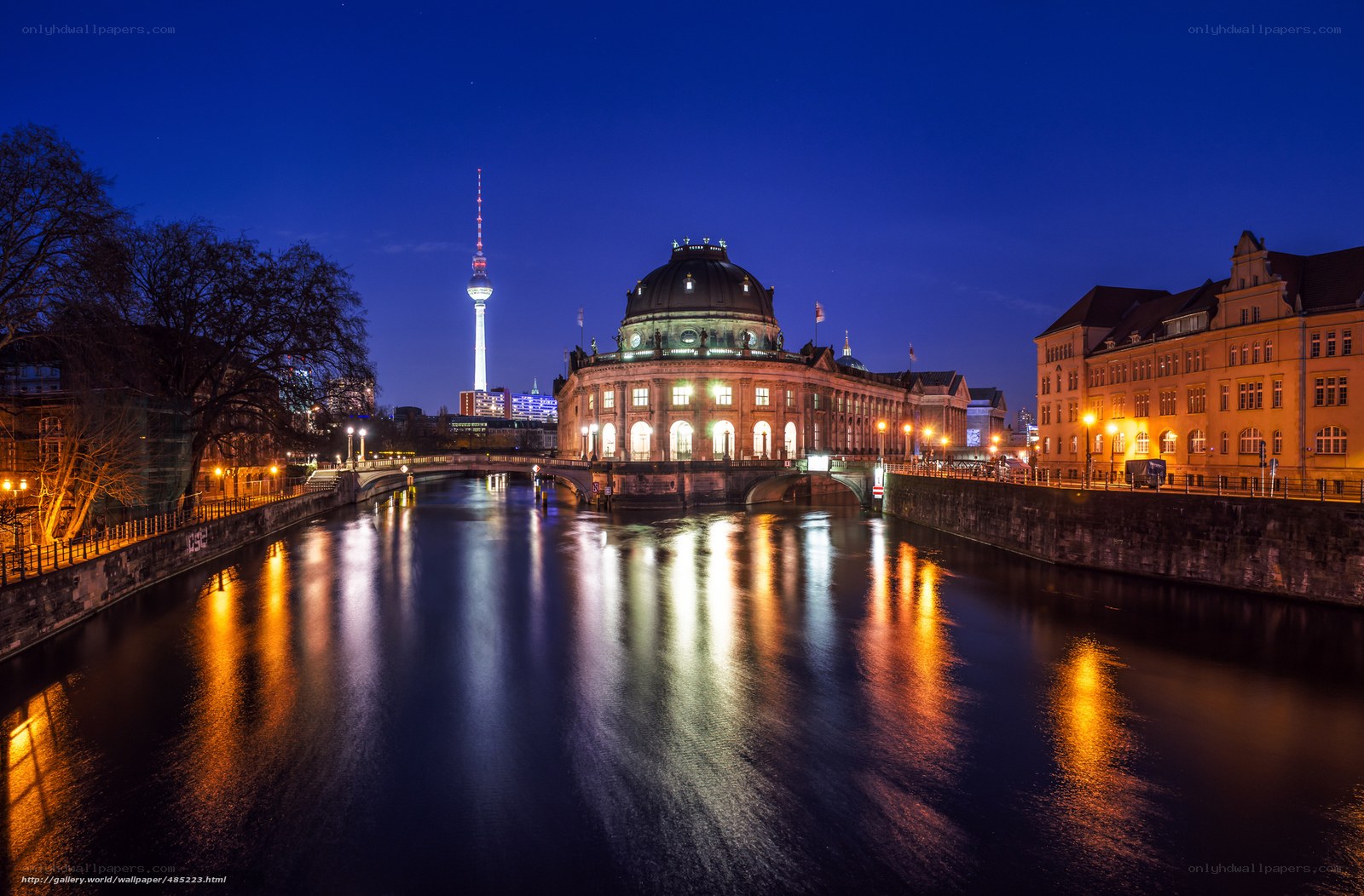 Berlin night view with TV tower