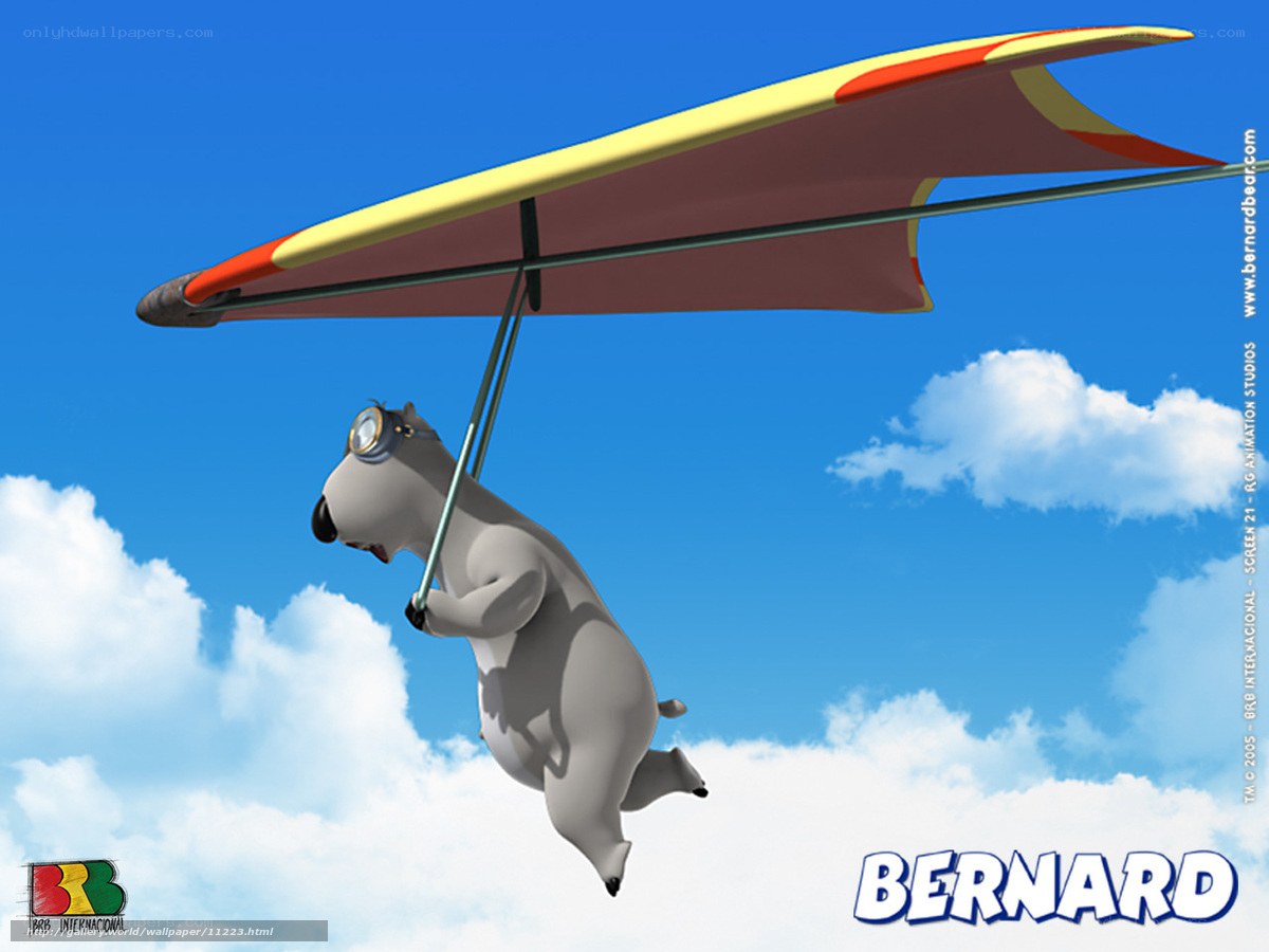 Bernard the bear flying