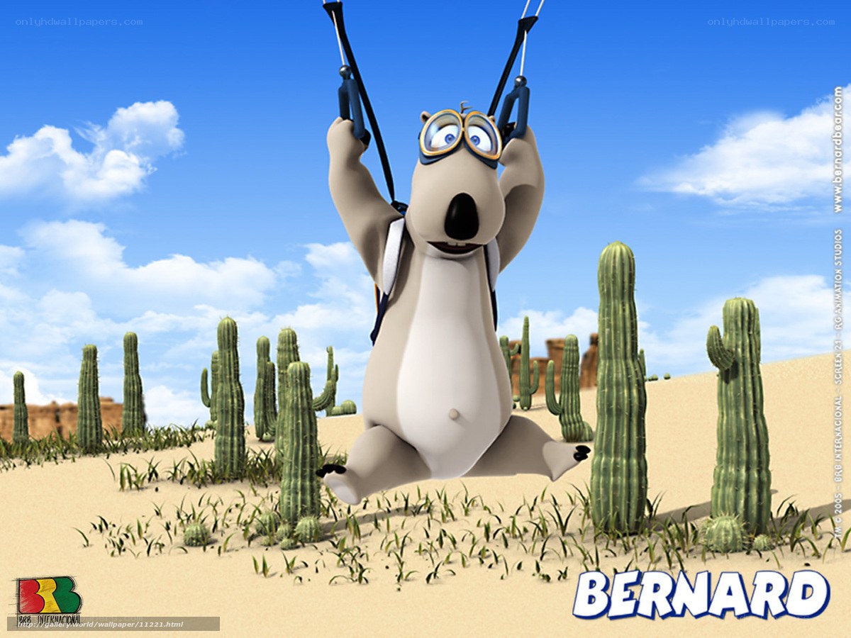 Bernard the bear in desert
