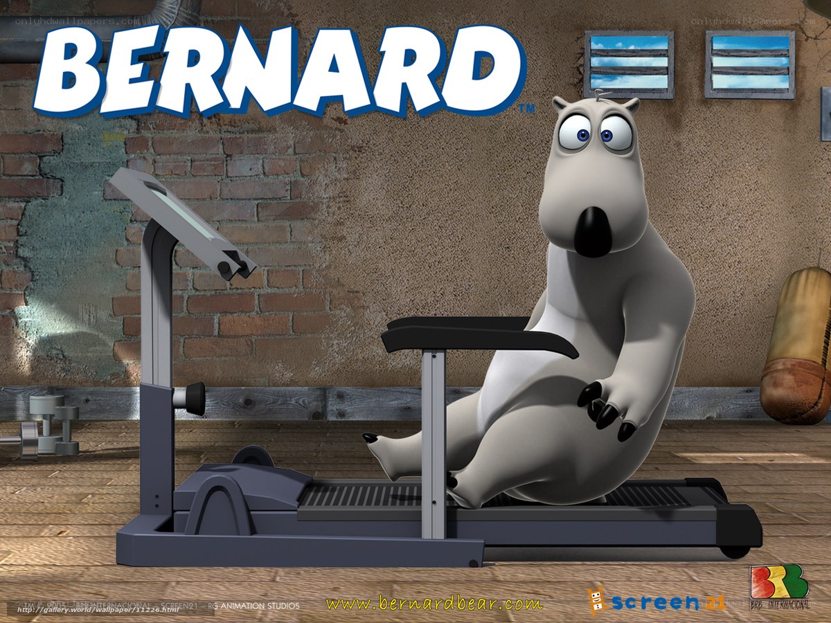 Bernard the Bear on Treadmill