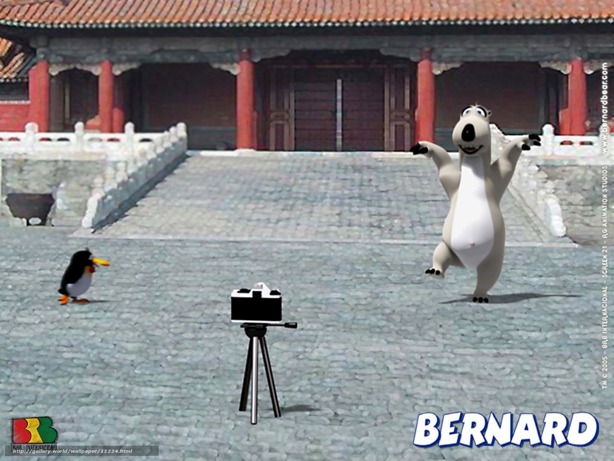 Bernard the polar bear