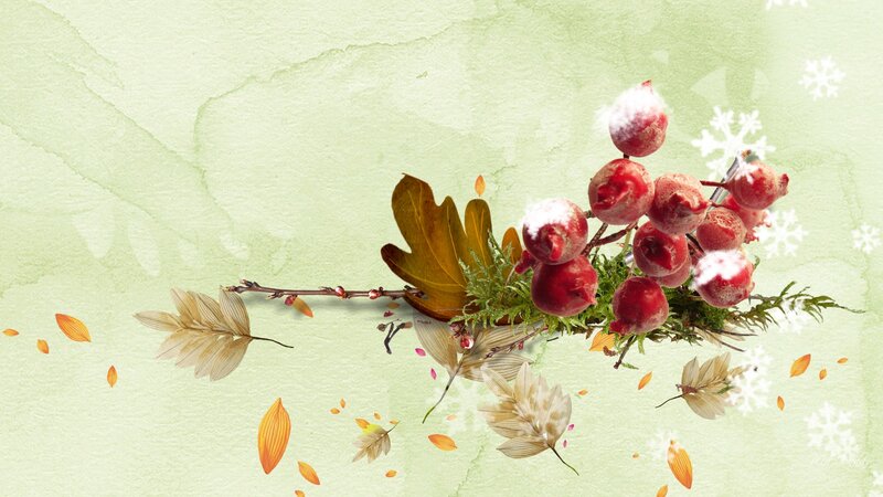 Berries and Autumn Leaves