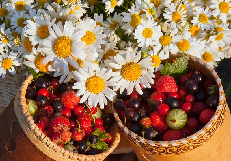 Berries and Daisies in Baskets