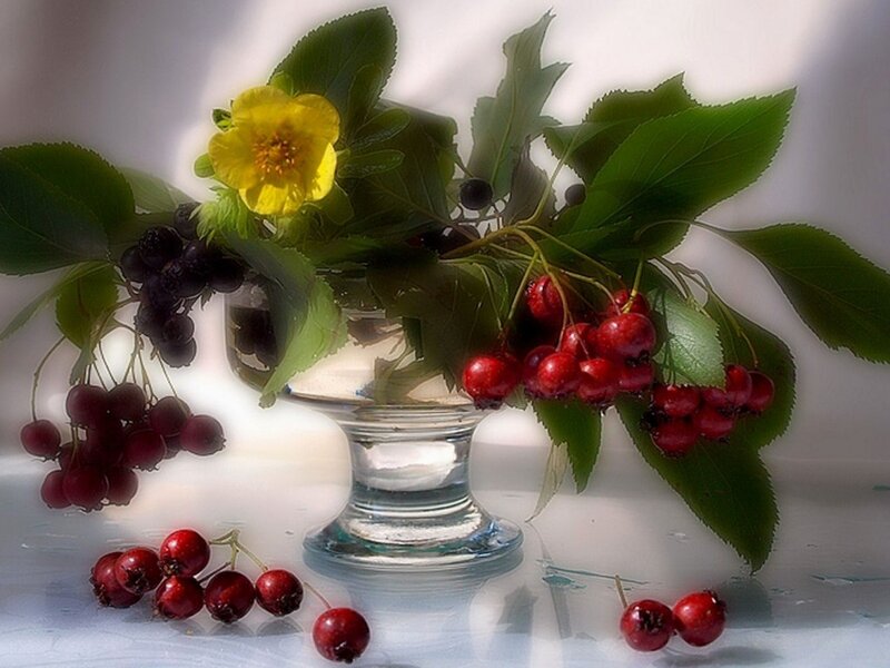 Berries and Flower in Vase