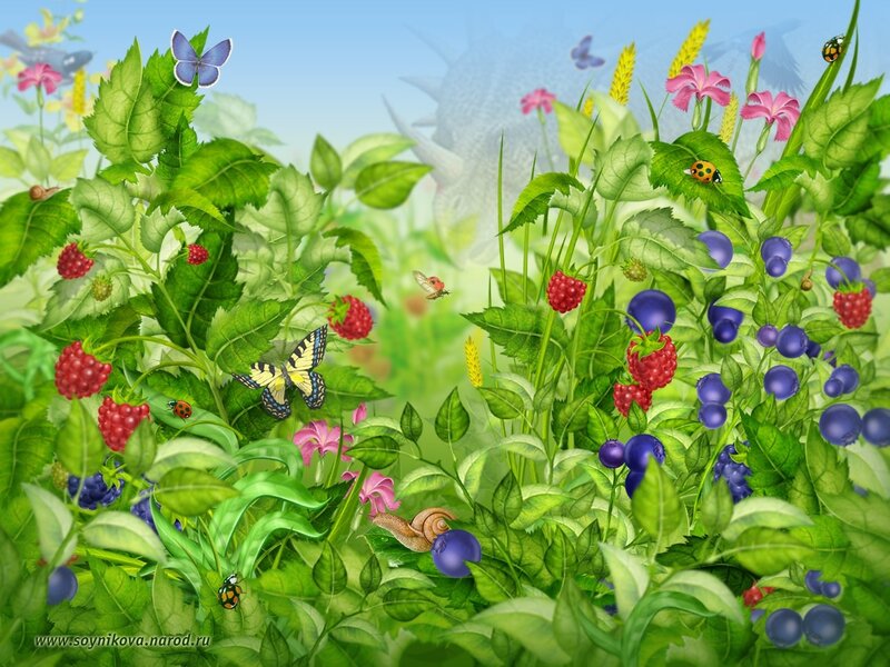 Berries and Insects in Garden