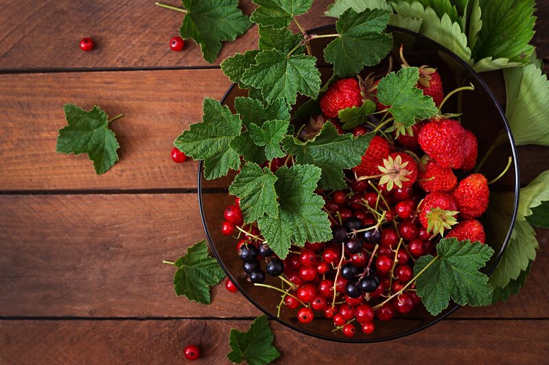 Berries in a Bowl — Red