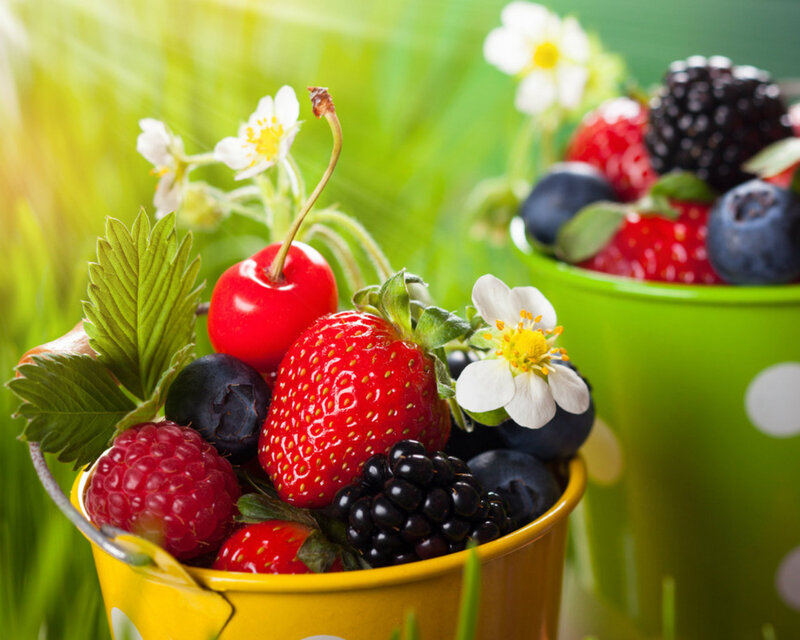 Berries in a Bucket