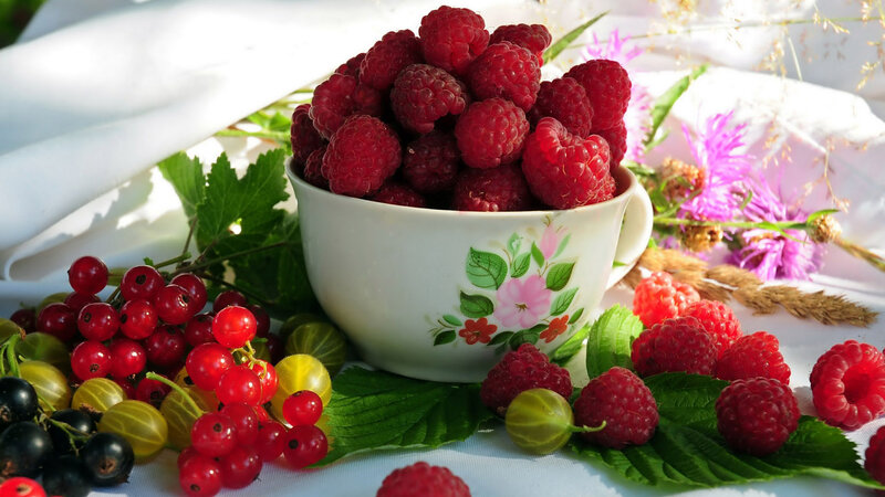 Berries in a Cup