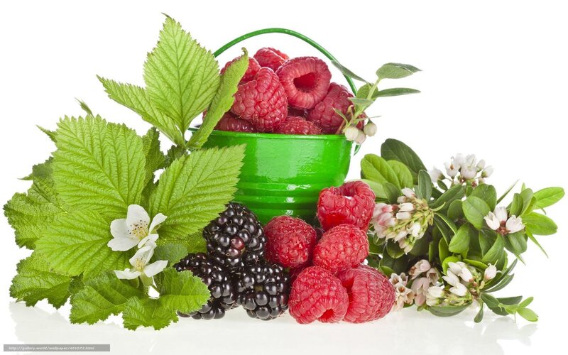 Berries in a Green Bucket