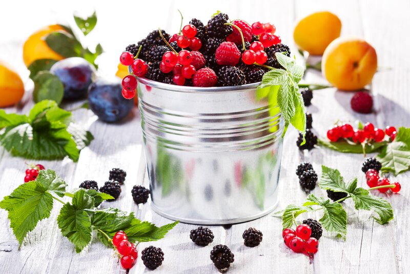 Berries in a Metal Bucket