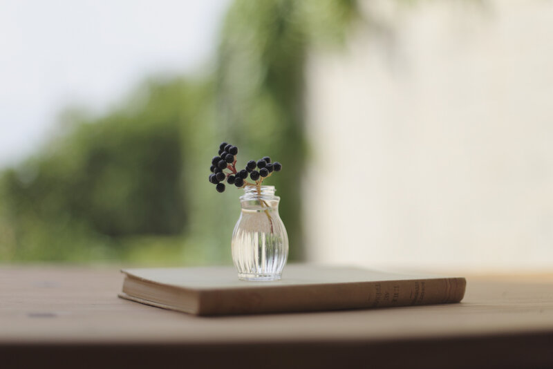Berries in a Vase