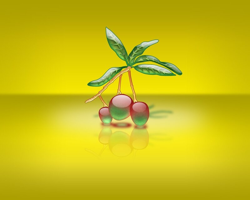 berries on a branch