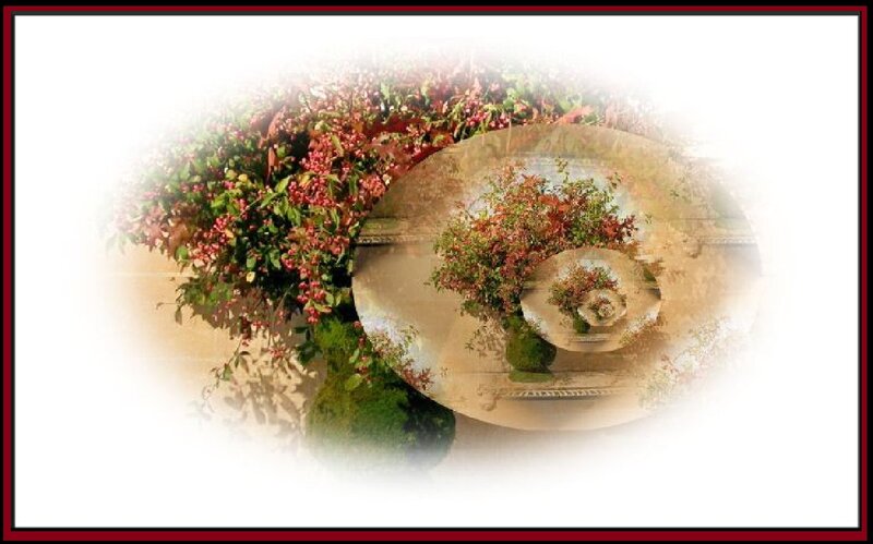 Berry Bush in Vase