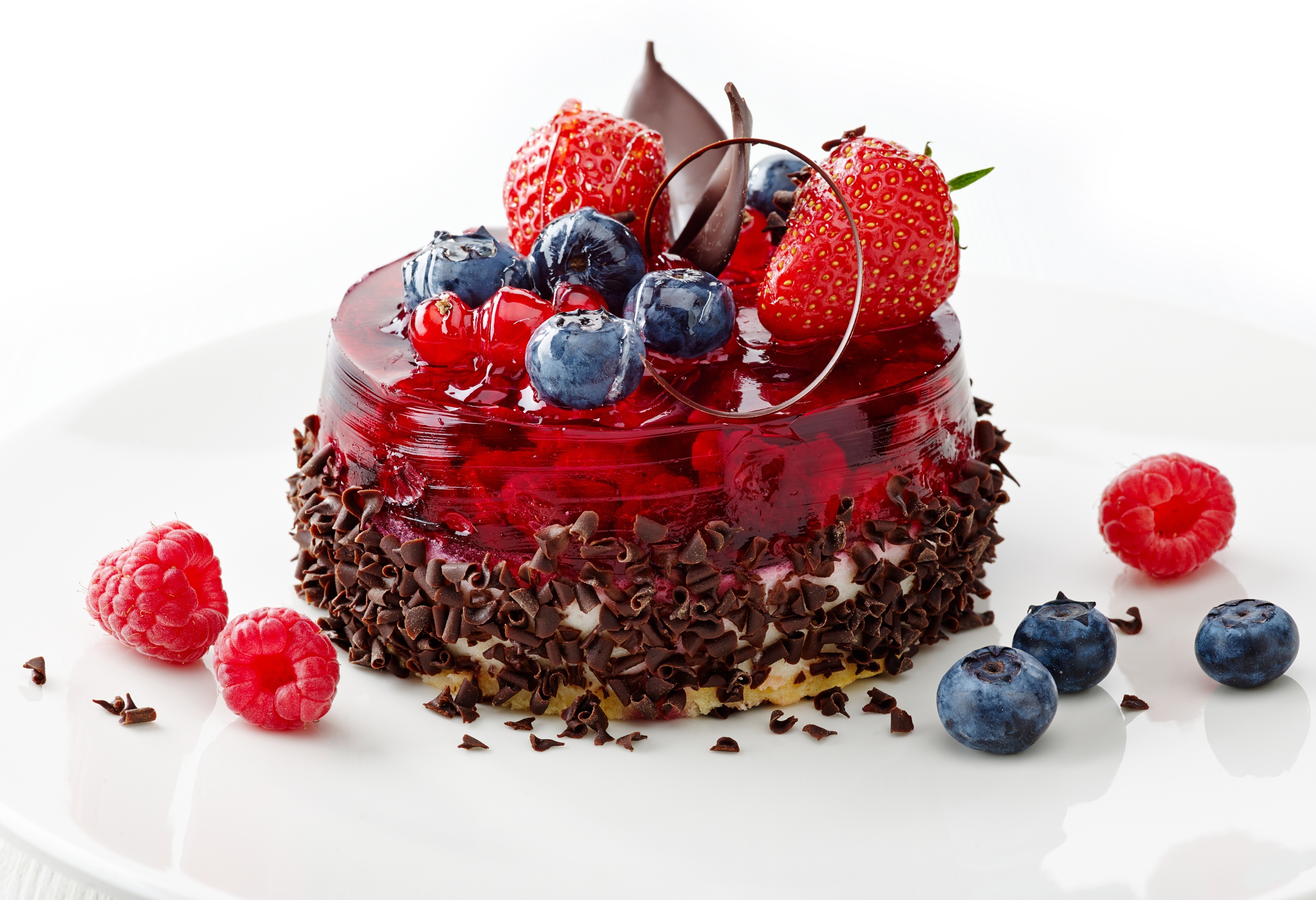 berry chocolate dessert
