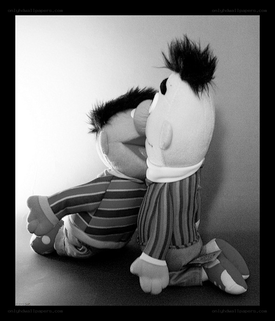 Bert and Ernie plush toys