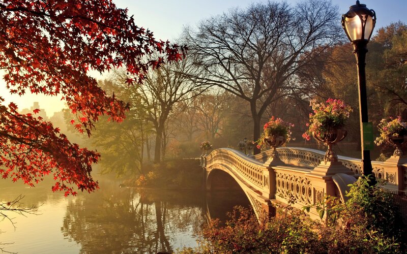 Bethesda Bridge in Autumn — Red, Serene, Photograph, Red Leaves
