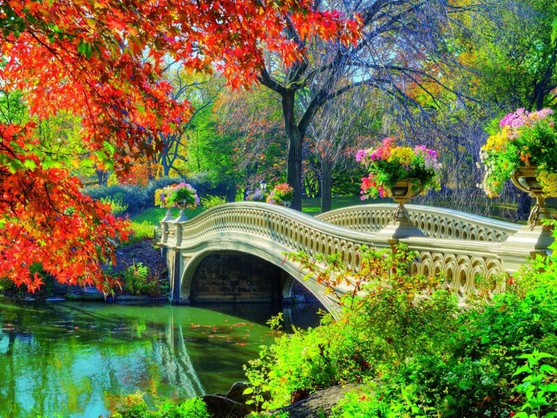 Bethesda Bridge in Autumn — Red, Serene