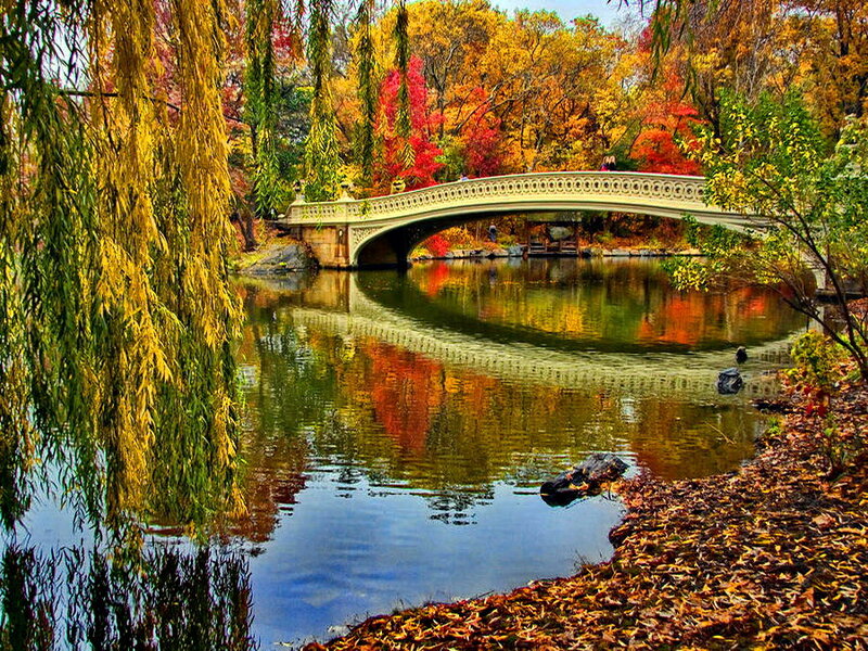 Bethesda Bridge in Autumn — Yellow, Serene