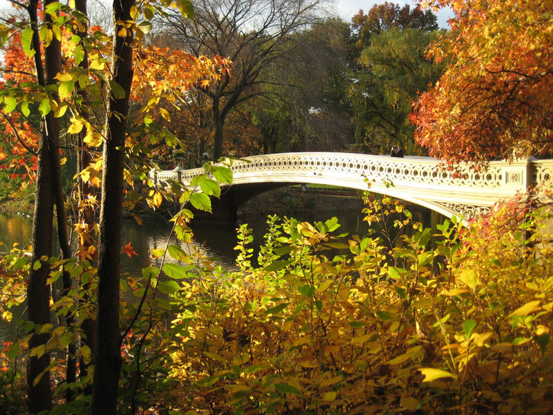 Bethesda Bridge in Autumn — Yellow