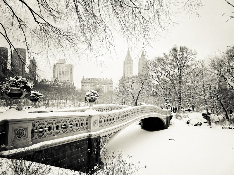 Bethesda Fountain — Black
