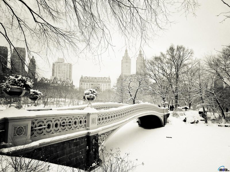 Bethesda Fountain Bridge — Black