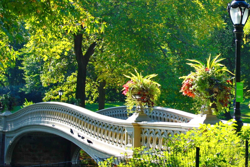Bethesda Fountain Bridge — Green, Serene