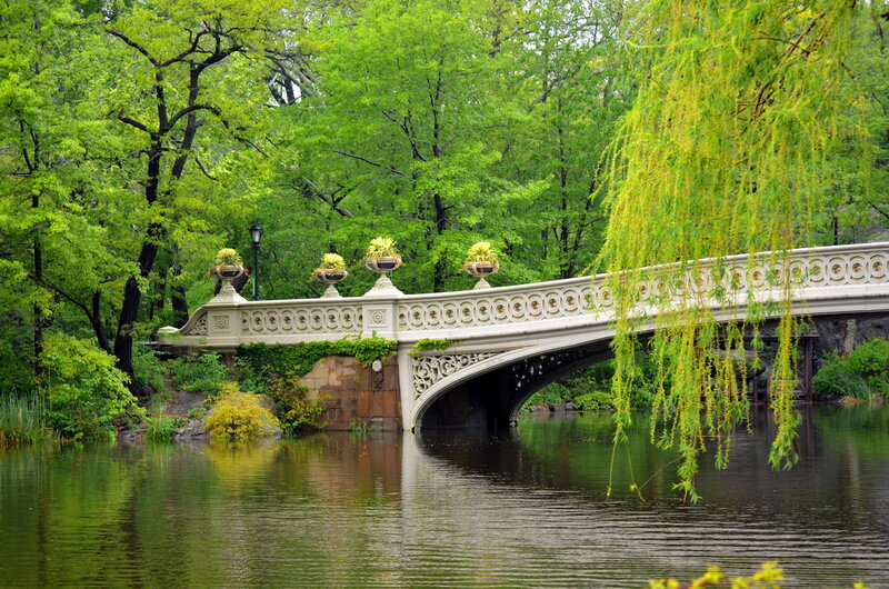 Bethesda Fountain Bridge — Green
