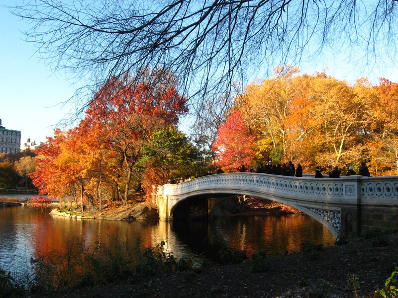 Bethesda Fountain Bridge — Orange