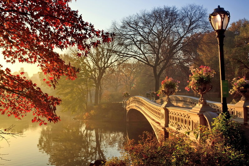 Bethesda Fountain — Red, Serene