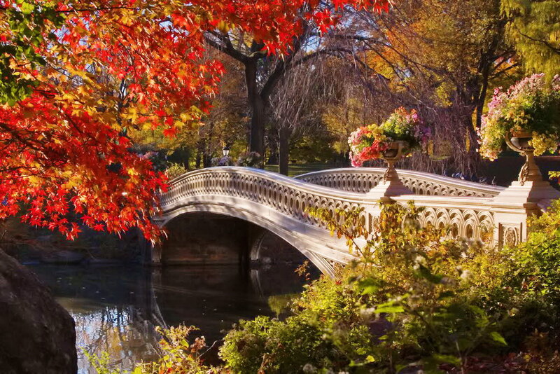 Bethesda Fountain — Red