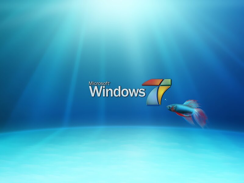 Betta Fish Swimming — Blue, Serene, Digital Art, Light Rays, Logo