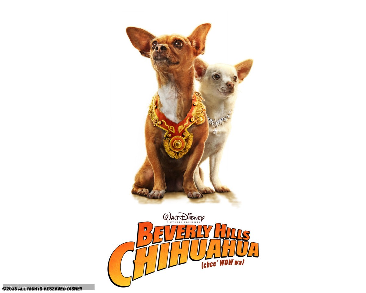 Beverly Hills Chihuahua movie poster