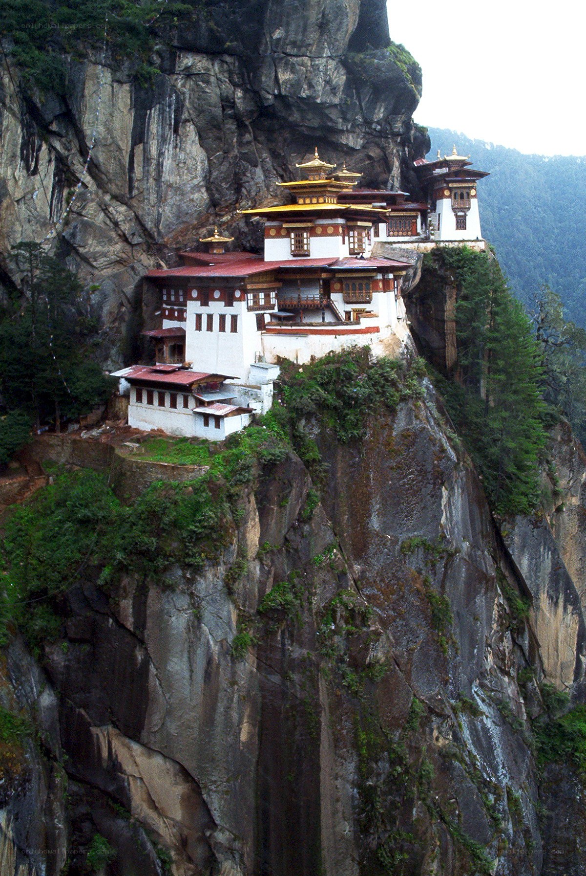 Bhutanese monastery on cliff