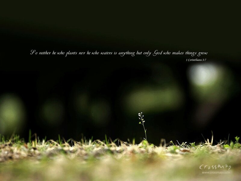 Bible verse on growth