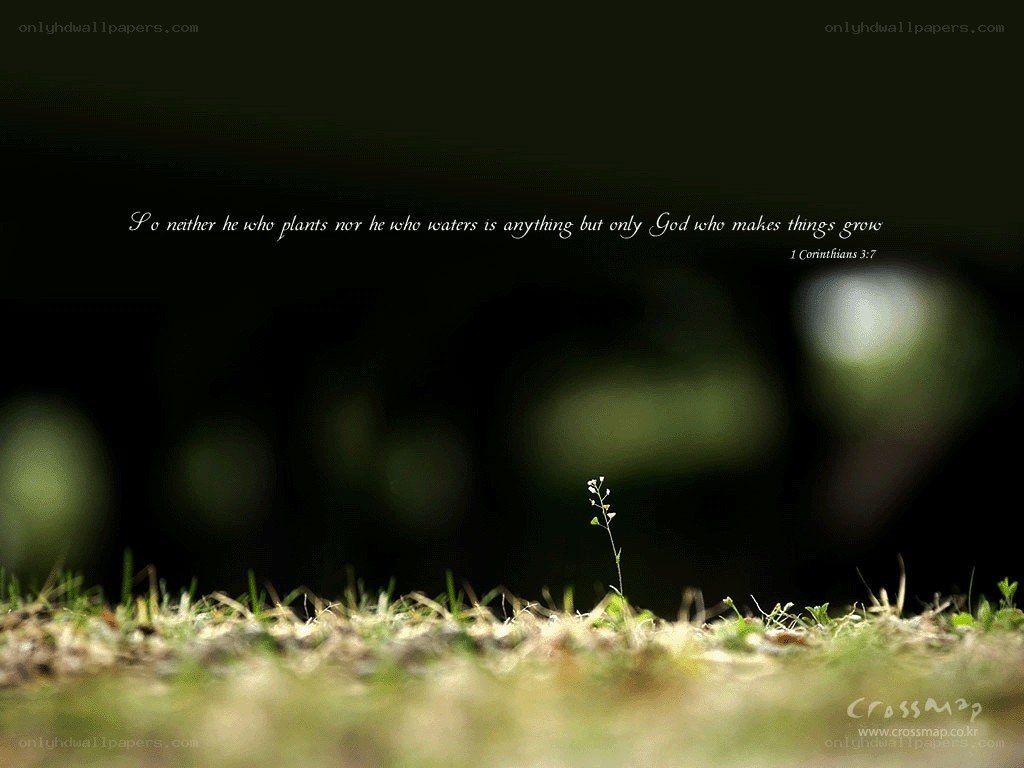 Bible verse on growth