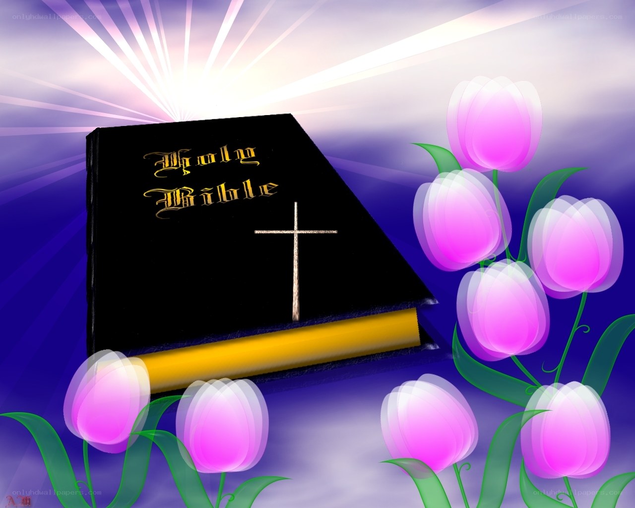 Bible with pink tulips