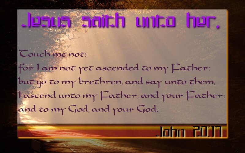 Biblical verse from John