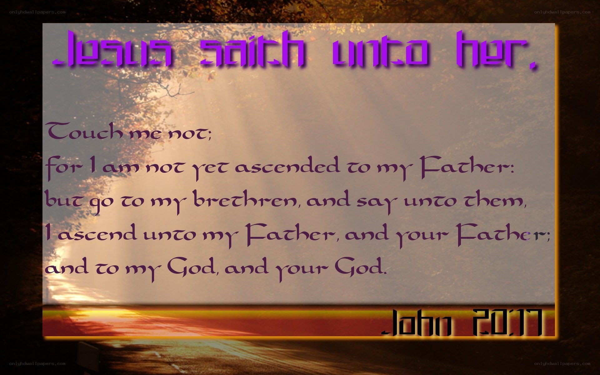 Biblical verse from John