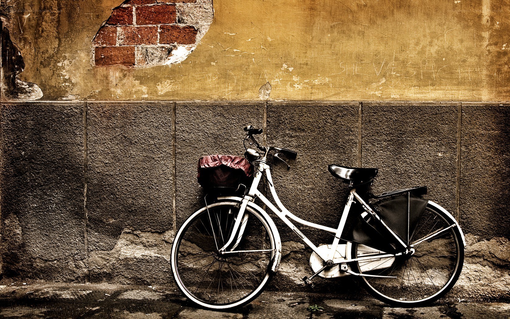 Bicycle against a weathered wall