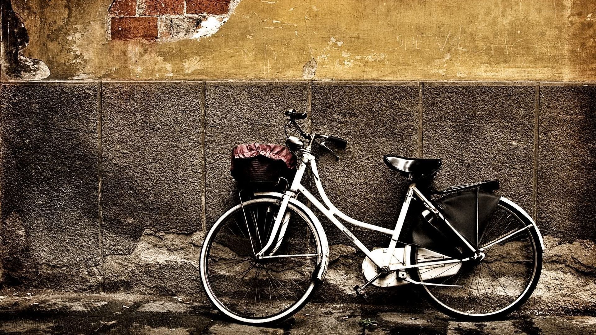 Bicycle against a weathered wall