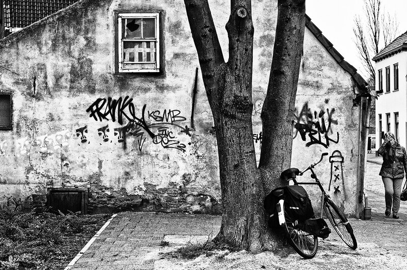 Bicycle Against Tree