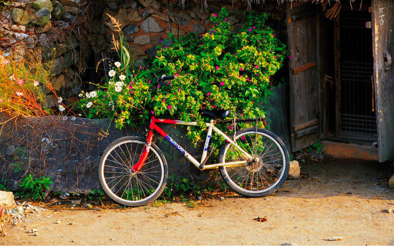 Bicycle Against Wall