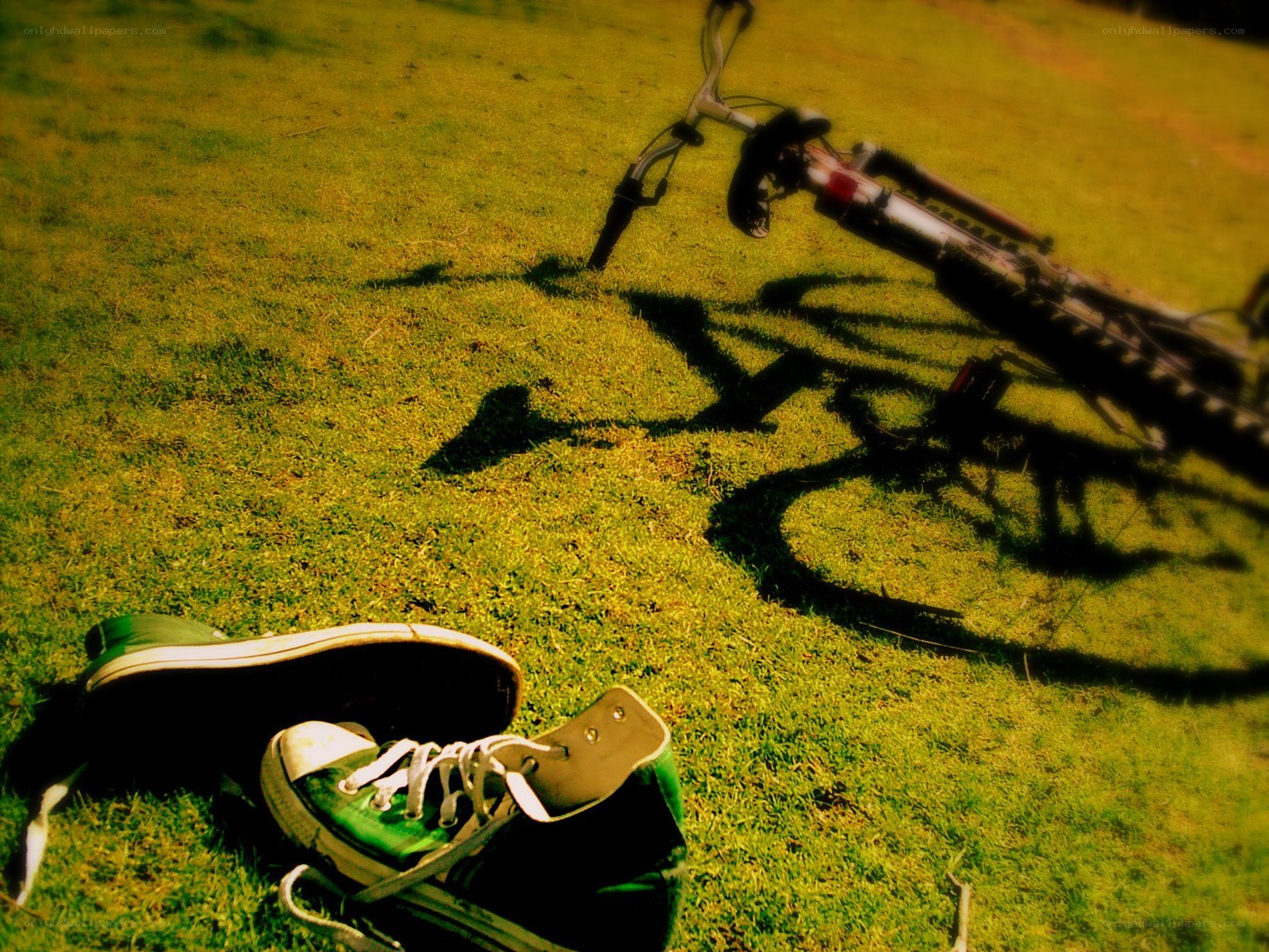 Bicycle and sneakers on grass