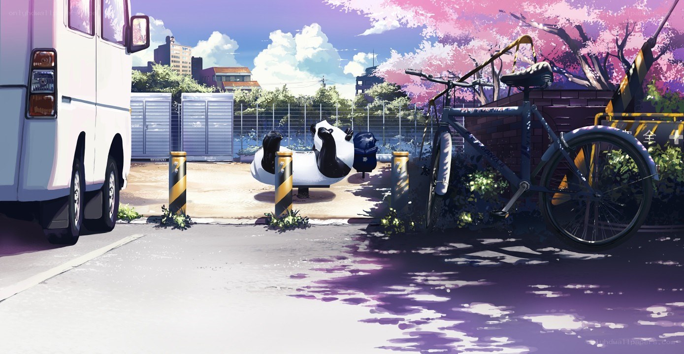 Bicycle and van under cherry blossoms