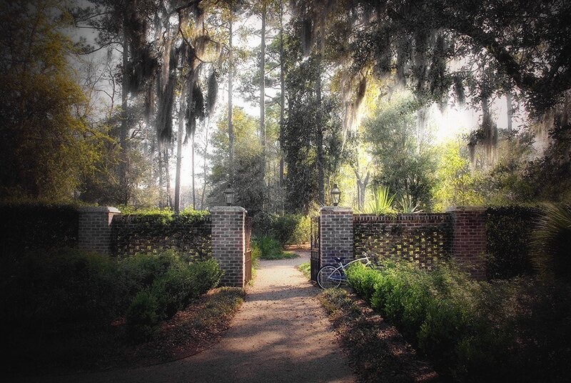Bicycle at Garden Gate