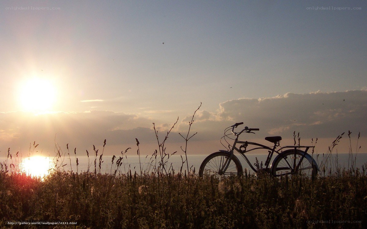Bicycle at sunset by the sea