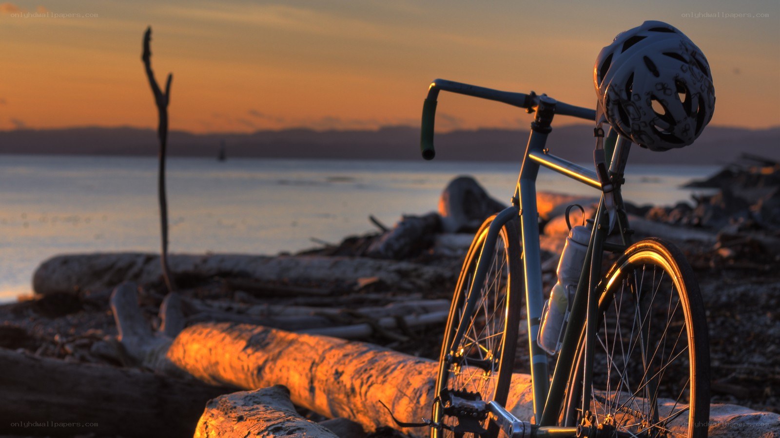 Bicycle at sunset by the water