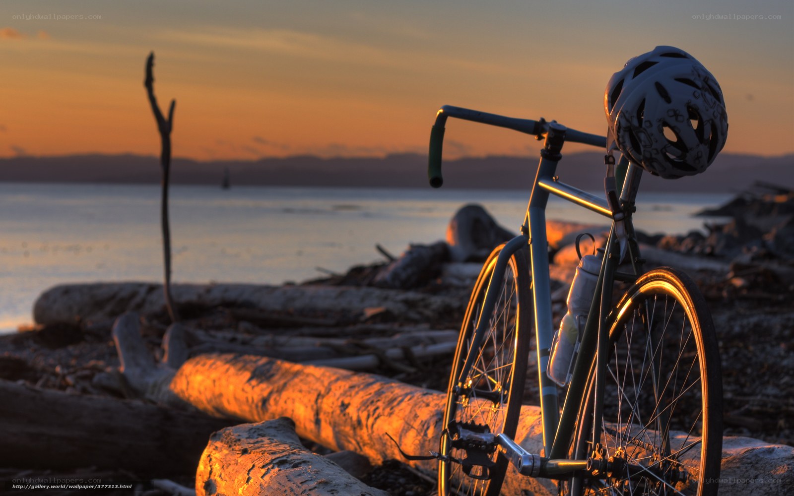 Bicycle at sunset by the water